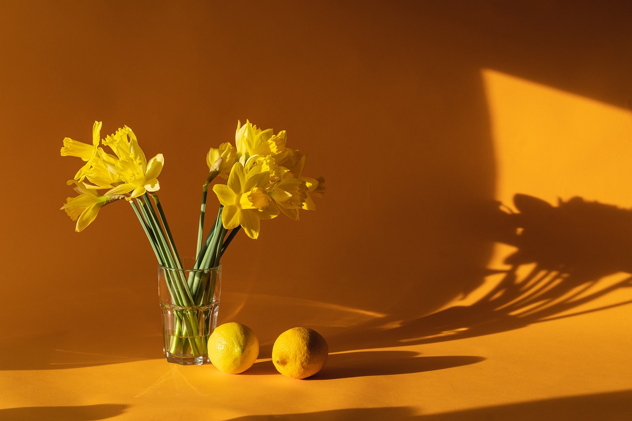 découvrez des idées inspirantes pour la décoration de votre maison. transformez chaque pièce avec des conseils pratiques, des tendances actuelles et des astuces créatives pour un intérieur élégant et accueillant.