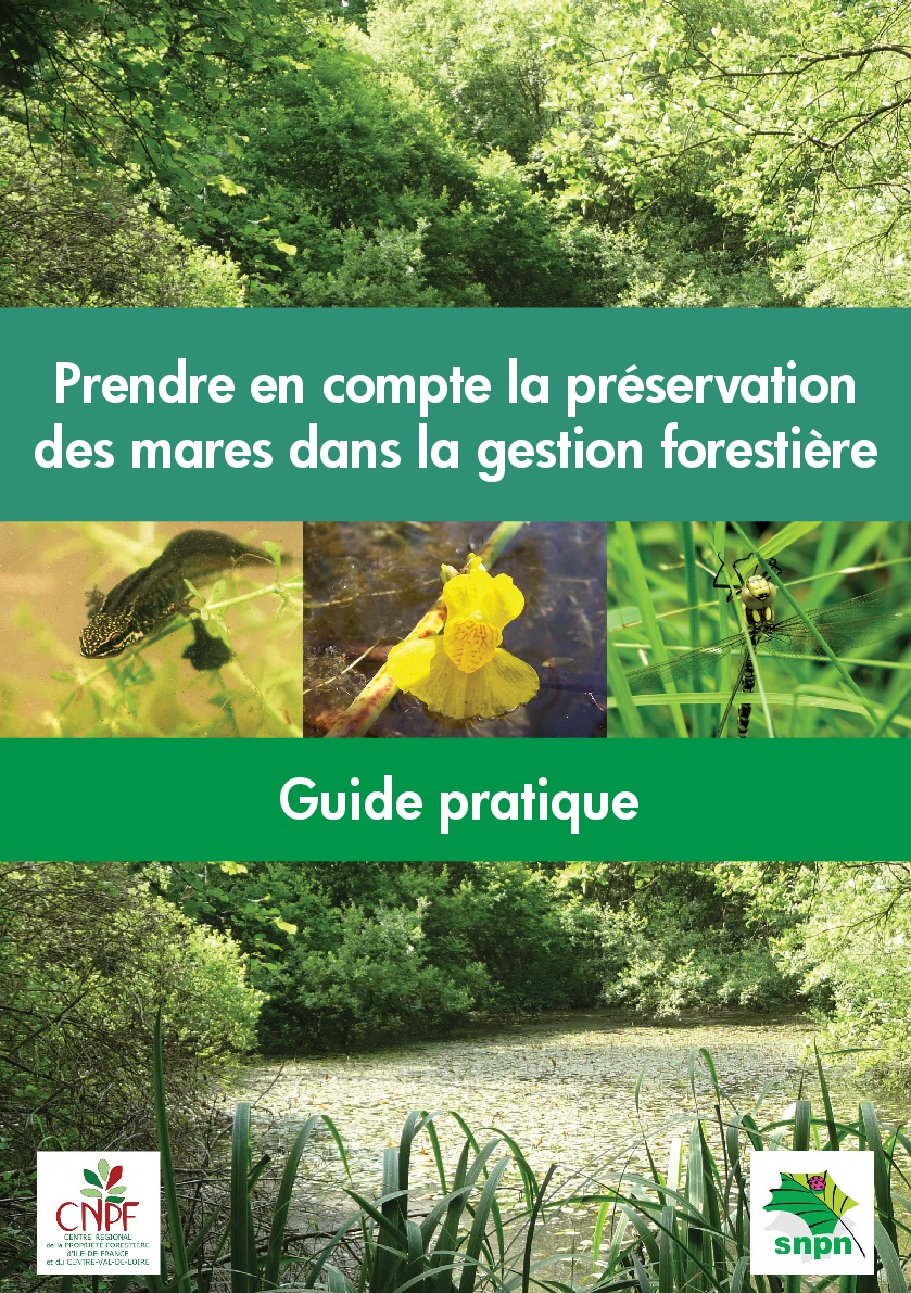 découvrez comment préserver les mares cenon, un écosystème vital pour la biodiversité locale. apprenez les techniques de conservation, les initiatives en cours et comment vous pouvez contribuer à protéger ces habitats naturels uniques.