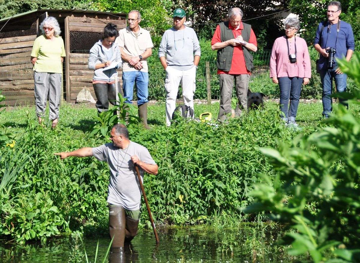 découvrez nos initiatives et actions pour préserver les mares cenon, un écosystème précieux pour la biodiversité. engagez-vous avec nous pour protéger cet environnement unique et contribuer à sa durabilité.