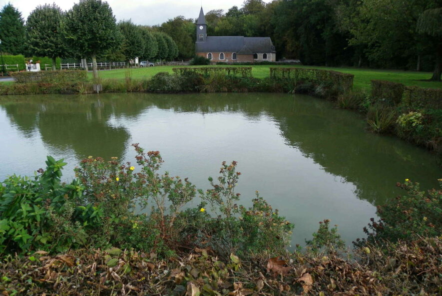 découvrez les initiatives et actions pour préserver les mares cenon, un écosystème essentiel pour la biodiversité et le bien-être de notre environnement. engagez-vous pour la conservation et la protection de ces milieux naturels.